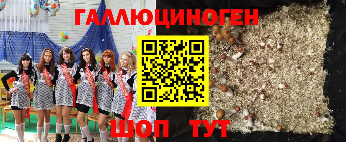 Дятьково  Псилоцибиновые грибы Magic Shrooms  Вход с VPN 